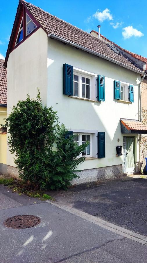 Schoenes Gemuetliches Haus Toplage Freinsheim Exteriér fotografie